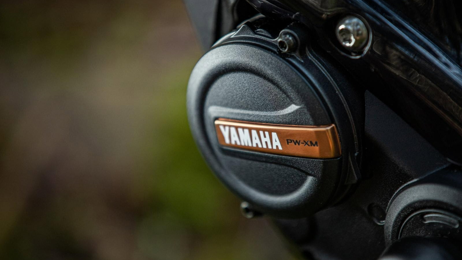 Yamaha PW-XM